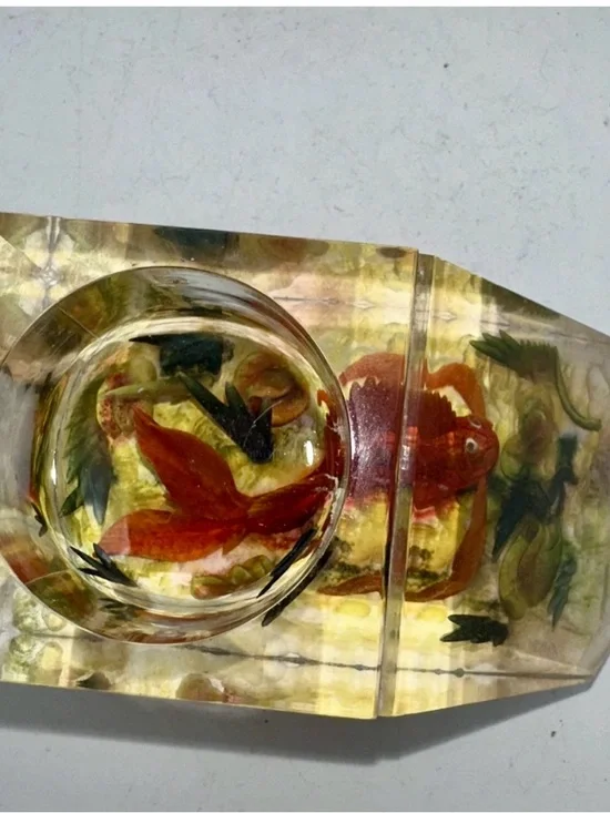 EVANS Ocean Fish Clear Tabletop Lightr Decorative Collectible Rare - Picture 6 of 6